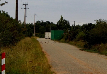 AUTOUR DE BESSENS-tarn-et-garonne