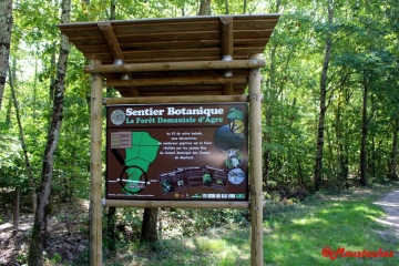 PORT CANAL - FORET D AGRE (VARIANTE)-tarn-et-garonne