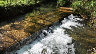 BRUNIQUEL - LA PALME-tarn-et-garonne
