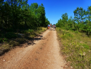 SAINT-ANTONIN-NOBLE-VAL - CANOE SUR L AVEYRON - RETOUR A PIED SUR LE CAUSSE.-tarn-et-garonne