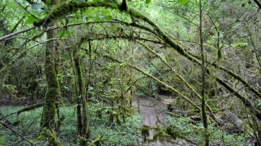 BRUNIQUEL - RIVE DROITE-tarn-et-garonne