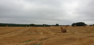 MONTAIGU-DE-QUERCY - PLAN D EAU DES CHENES-tarn-et-garonne