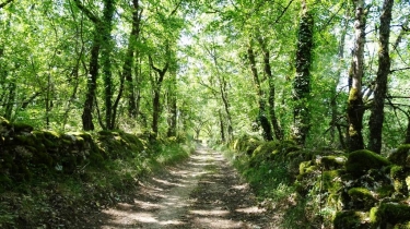 CAYLUS - SANCTUAIRE NOTRE-DAME DE LIVRON-tarn-et-garonne
