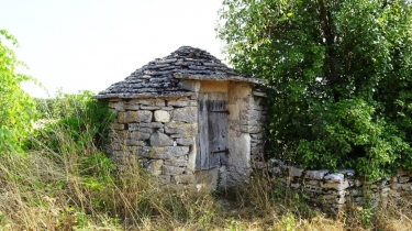 CAYLUS - LAMANDINE-tarn-et-garonne