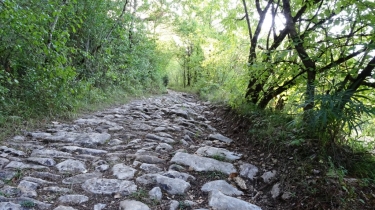 SAINT-PIERRE-LIVRON - LACAPELLE-LIVRON - LOZE - SAINT-PEYRONIS-tarn-et-garonne