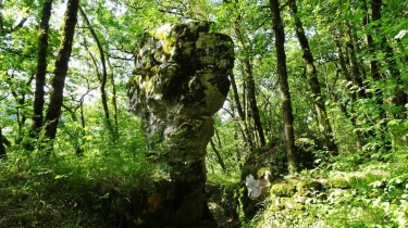CAYLUS - CHATEAU DE CAS-tarn-et-garonne