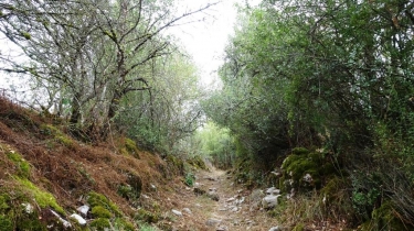 CAYLUS - VALLON DE FRAYSSINET-tarn-et-garonne