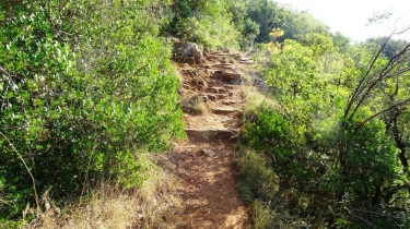 SAINT-ANTONIN-NOBLE-VAL - JOANY-tarn-et-garonne
