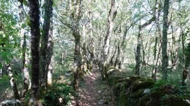 SERVANAC - TRES CANTOUS-tarn-et-garonne