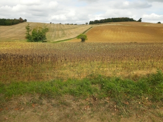 BOUCLE DE LA ROUTE DE BELLECHASSE-tarn-et-garonne