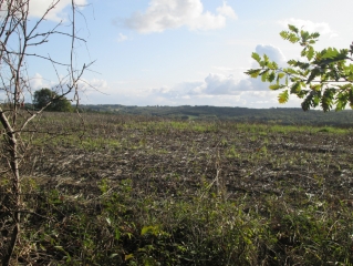 AUTOUR DE LE TRUFFIE-tarn-et-garonne