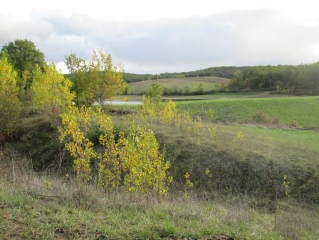 AUTOUR DE LE TRUFFIE-tarn-et-garonne