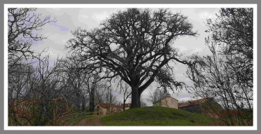 PARISOT - TARN ET GARONNE - 19 KM-tarn-et-garonne