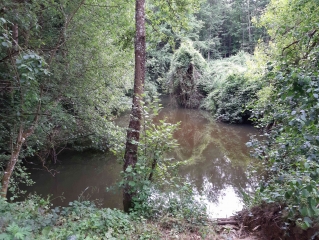ENTRE SAINT-NAUPHARY ET REYNIES-tarn-et-garonne