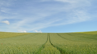  LAC DU GOUYRE - VERSION SPORTIVE-tarn-et-garonne