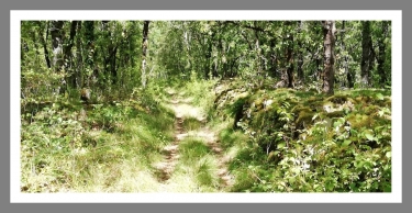 CASTANET - CALCOMIER - CASTANET-tarn-et-garonne