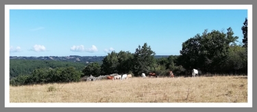 CASTANET - CALCOMIER - CASTANET-tarn-et-garonne