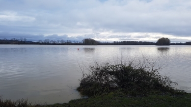 SAINT-NICOLAS-DE-LA-GRAVE - OBSERVATOIRE AUX OISEAUX PR2-tarn-et-garonne