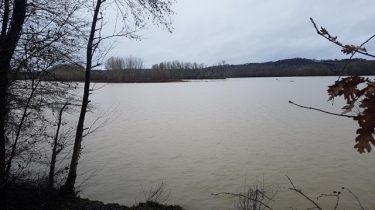 SAINT-NICOLAS-DE-LA-GRAVE - OBSERVATOIRE AUX OISEAUX PR2-tarn-et-garonne