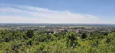 GRISOLLES-tarn-et-garonne