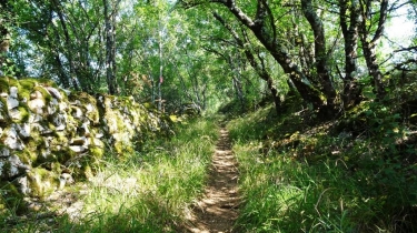 LE LAVOIR D EMBARRE-tarn-et-garonne