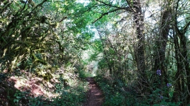 LE LAVOIR D EMBARRE II-tarn-et-garonne