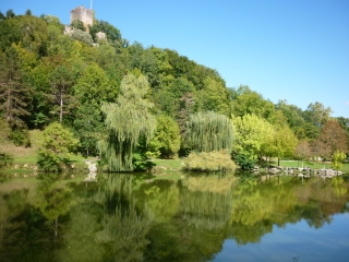 CAYLUS - NOTRE DAME DE LIVRON-tarn-et-garonne