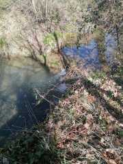 MONTAIGU-DU-QUERCY-tarn-et-garonne