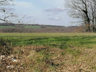 MONTAIGU-DU-QUERCY-tarn-et-garonne