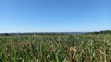 SAINT-AMANS-DU-PECH 6.7 KM 82150-tarn-et-garonne