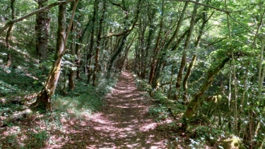 BELVEDERE DU CIRQUE DE BONE-tarn-et-garonne