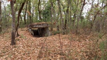 SEPTFONDS 82240 TARN ET GARONNE 10 KM-tarn-et-garonne