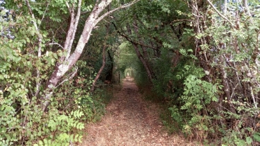 SEPTFONDS 82240 TARN ET GARONNE 10 KM-tarn-et-garonne