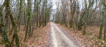 BOURG-DE-VISA - ROUQUET-tarn-et-garonne
