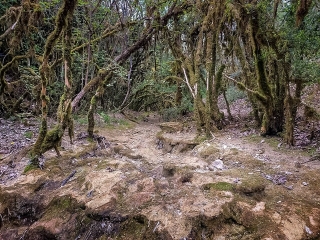 MONTRICOUX - VARIANTE 1-tarn-et-garonne