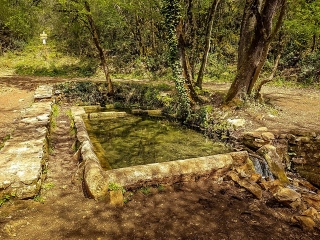 MONTRICOUX - VARIANTE 1-tarn-et-garonne