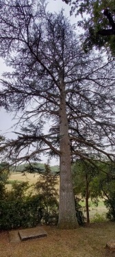 MIRAMONT-DE-QUERCY 82190  8.6 KM-tarn-et-garonne