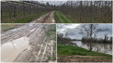 LES BARTHES BORDS DU TARN-tarn-et-garonne