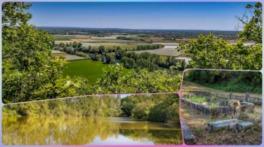 LAFRANCAISE  -BOIS DES MOTHES - COUROUNAT-tarn-et-garonne