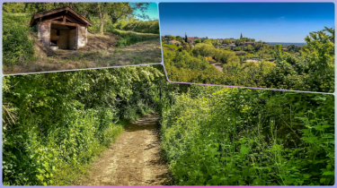 LAFRANCAISE  -BOIS DES MOTHES - COUROUNAT-tarn-et-garonne