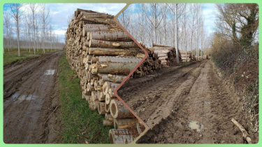 GRèSE - LAUBARèDE -MAS GRENIER.-tarn-et-garonne