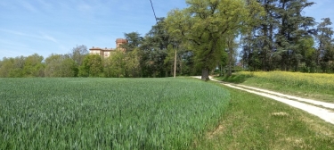 VAZéRAC 82220  12.2KM-tarn-et-garonne