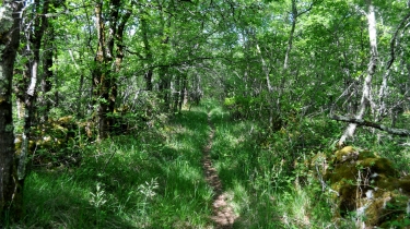 LA TOMBE DU GEANT-tarn-et-garonne