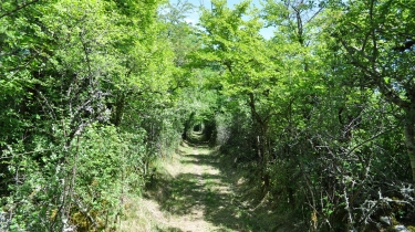 DOLMEN DU PECH - VERSION SPORTIVE-tarn-et-garonne