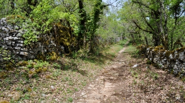 SERVANAC (VERSION SPORTIVE)-tarn-et-garonne