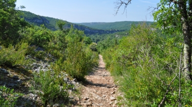BROUSSES LES ANTIBELS - RIVE GAUCHE-tarn-et-garonne