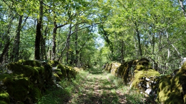 SAINT-ANTONIN-NOBLE-VAL - RAYNAL BAS-tarn-et-garonne