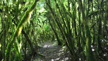 TROU DE LA GOURGUE-tarn-et-garonne