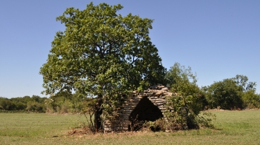 LAVAURETTE-tarn-et-garonne