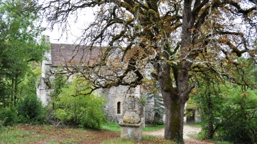 VALLEE DE SAINT-SYMPHORIEN-tarn-et-garonne
